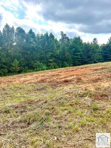 0 Pleasant View Dr, Patrick Springs, VA, 24133