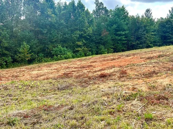 0 Pleasant View Dr, Patrick Springs, VA 24133