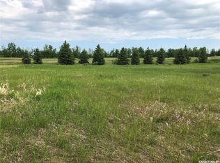19 Northern Meadows Way, Goodsoil, SK S0M