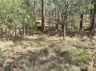215 Balkans Dr, Timberon, NM 88350