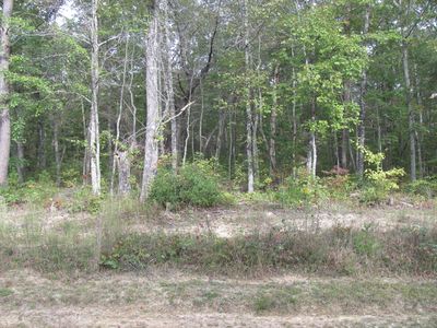 320 Westchester Dr Lot 201, Crossville, TN, 38558