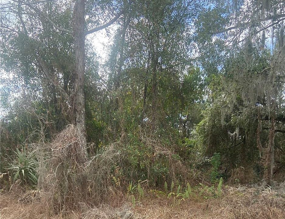 1st image of 3494 Alachua Ave