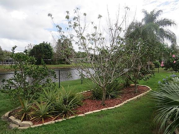 5th image of 2315 Paso Fino Dr