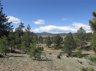 2809 Badger Creek Rd, Hartsel, CO 80449