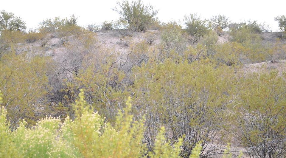 1st image of 56202 N Vulture Mine Rd