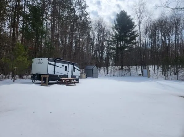 10229 E Coe Rd, Luther, MI 49656