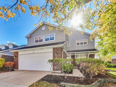 65 Caribou Xing, Northbrook, IL, 60062