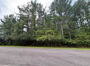 1128 Plantation Overlook Dr, Moncks Corner, SC 29461