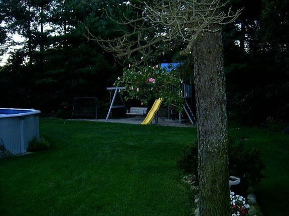 Backyard - Fenced for small animals and children