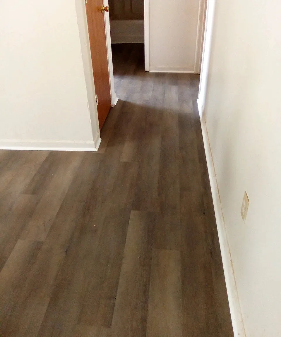 2 bed, 850 sqft, $1,100 — Photo 3