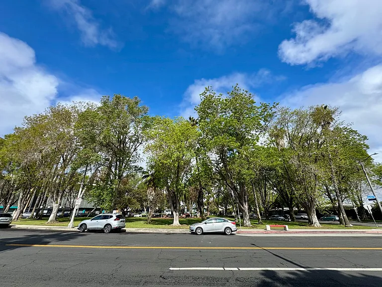 5250 Los Altos Plaza — Photo 14