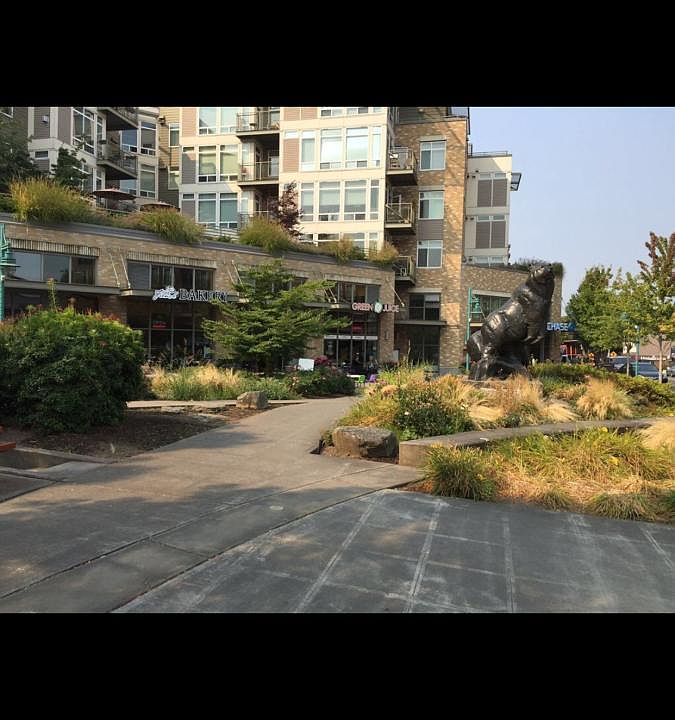 Kirkland Central Bear Statue