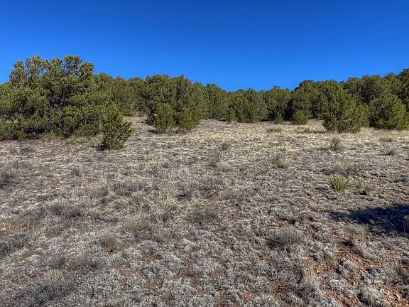 4th image of 885 Crow Rd