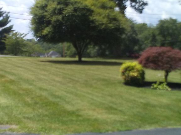3rd image of 1189 Starmount Ave