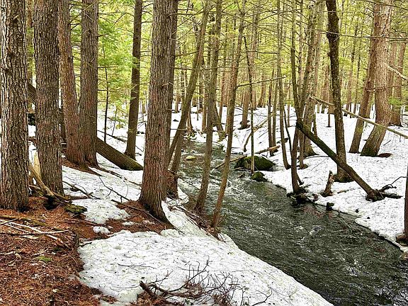 3rd image of 336 Old Jaffrey Road Lot R3-12-2