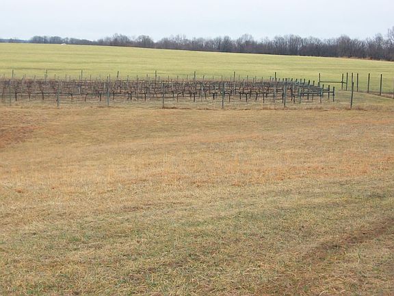 2nd image of 1220 Gap Rd