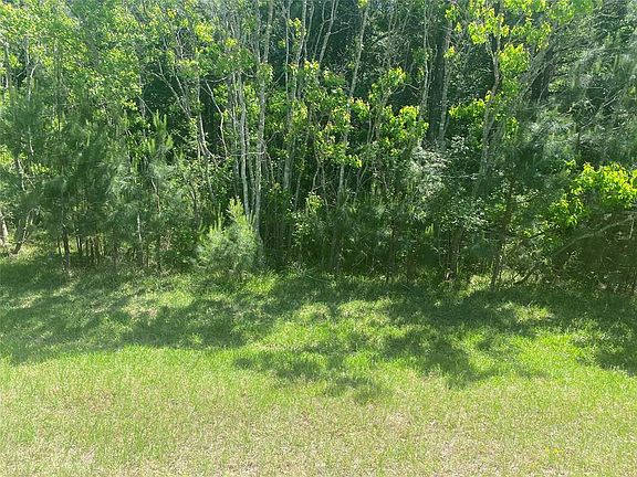 5th image of 8952 Forest Lake Dr