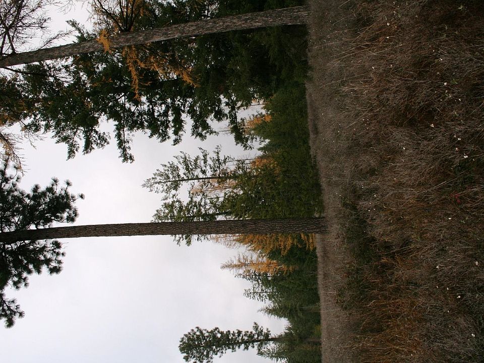 LOT 8 W Dahl Rd, Deer Park, WA 99006 MLS 202324643 Zillow