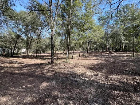 Webster St Lot 6, Interlachen, FL 32148