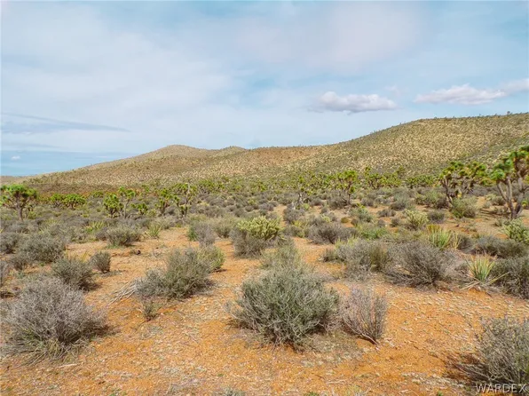 N Fry Mine 337 10 89 & 85 Rd, Willow Beach, AZ 86445