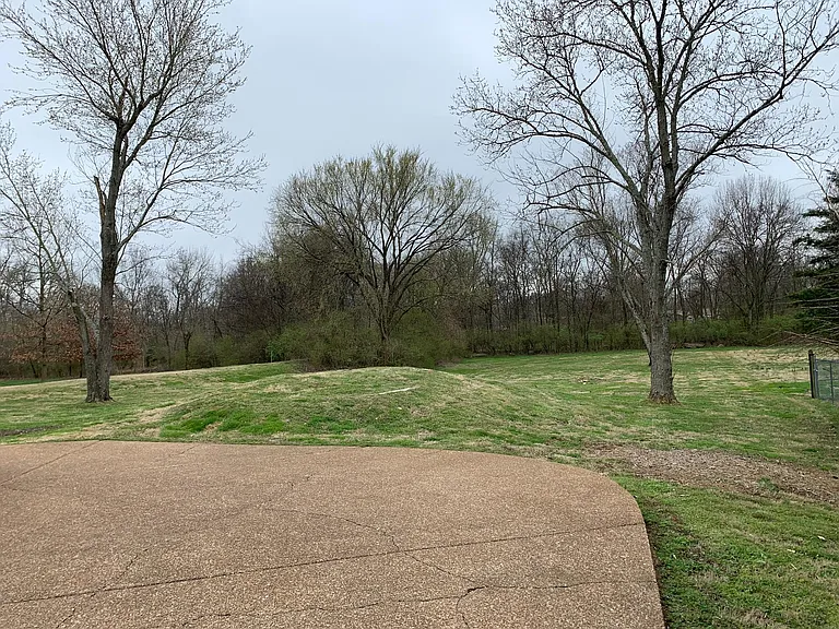 112 Grapevine Ct — Photo 29