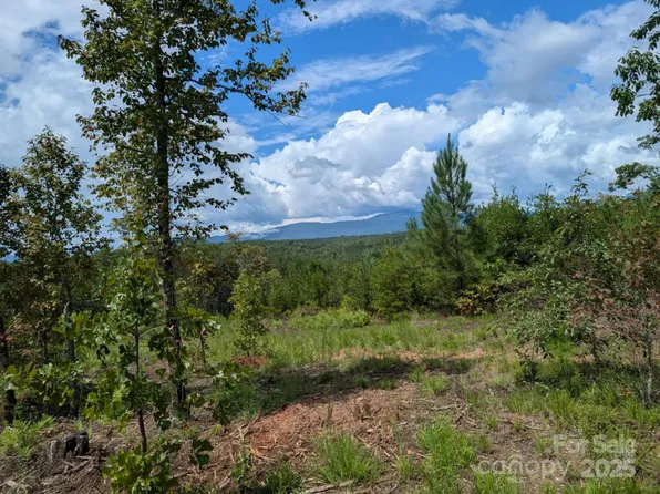 3 Price Summit Way, Mill Spring, NC 28756