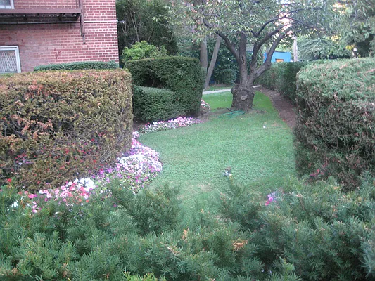 Sold by Judith Bloustein Schutz, LREB | media 18