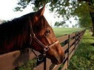 19601 NE 73rd Terrace Rd, Citra, FL 32113