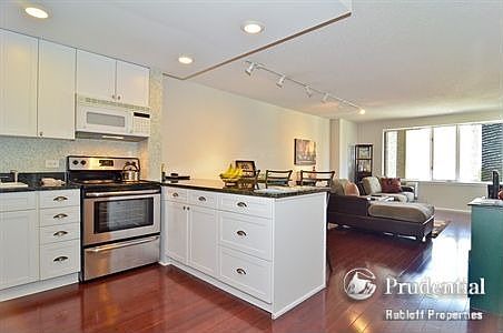 5th image of 801 S Plymouth Ct #P197