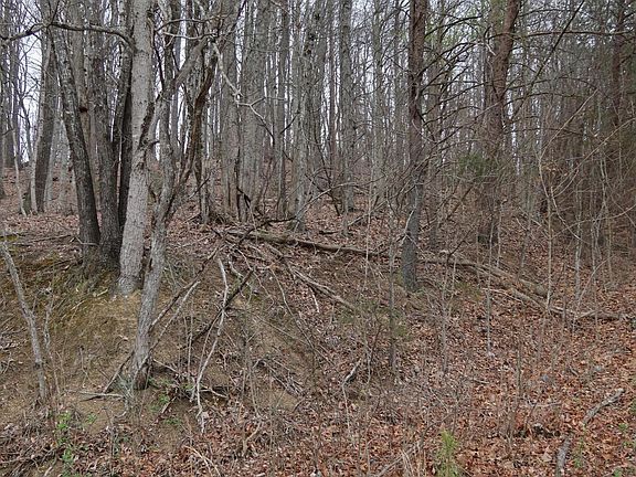 5th image of Possum Hollow Rd
