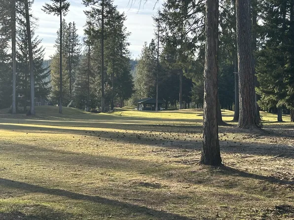 Xxx Hogan Way, Chewelah, WA 99109