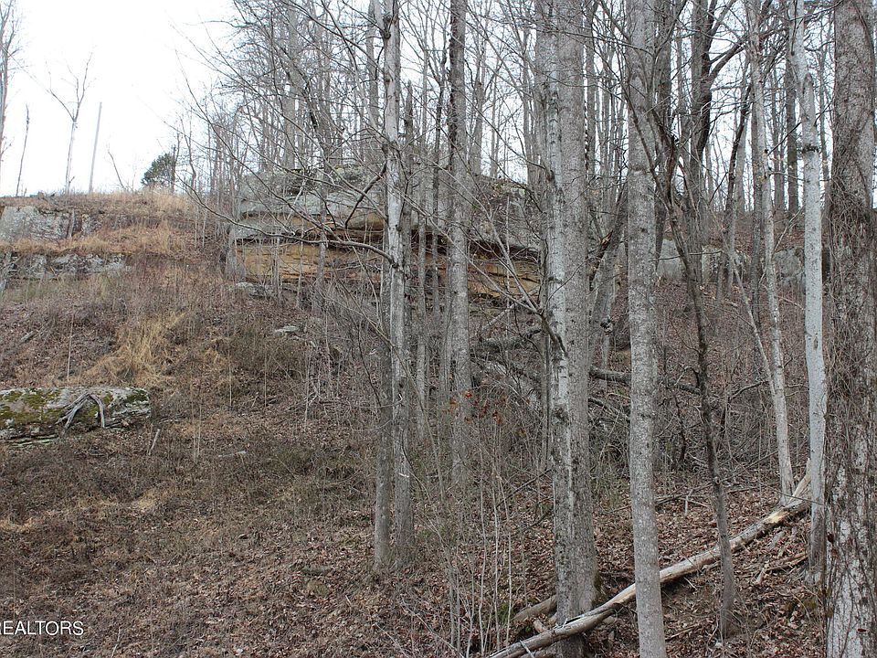 2nd image of Jean Ave
