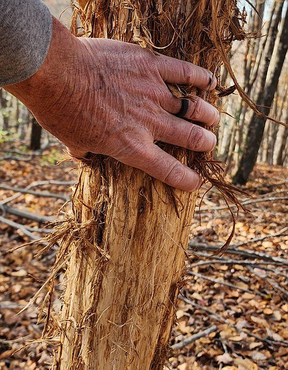 S4183 County Rd S, Viroqua, WI 54665 Zillow