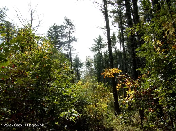 128 Klingermann Drive, Cairo, NY 12413