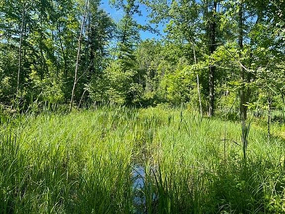 2nd image of Shawano Line Rd