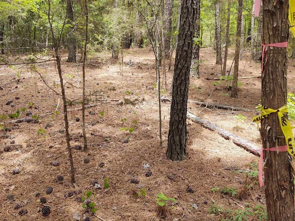 1109 Hopewell Church Rd, Irmo, SC 29063