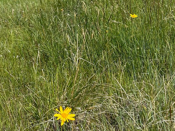 2nd image of U Bet Rd