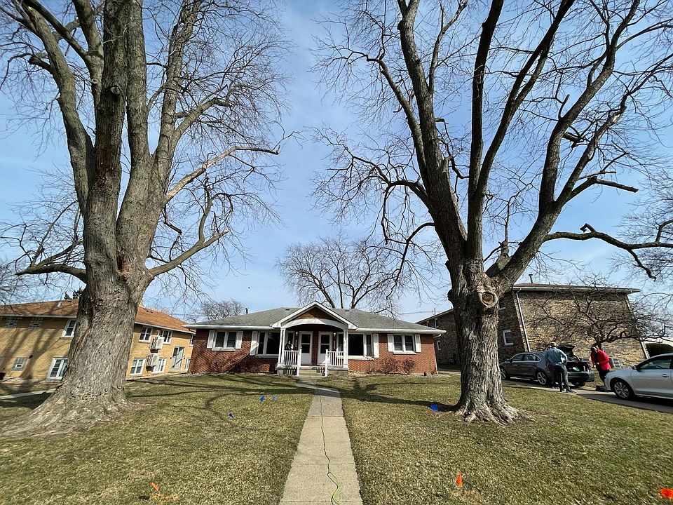 Front yard