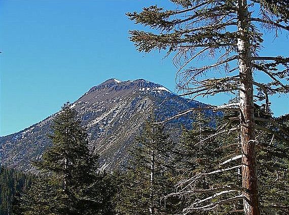 Mt Rose view Elev. 10,778' 
