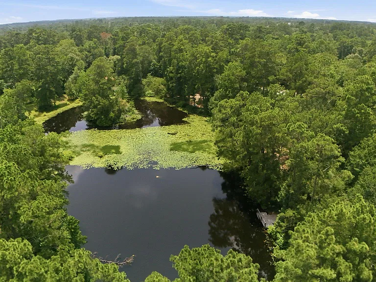 223 Pin Oak Ln — Photo 45