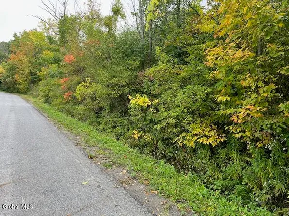 L24.2 Goewey Road, Fultonville, NY 12072