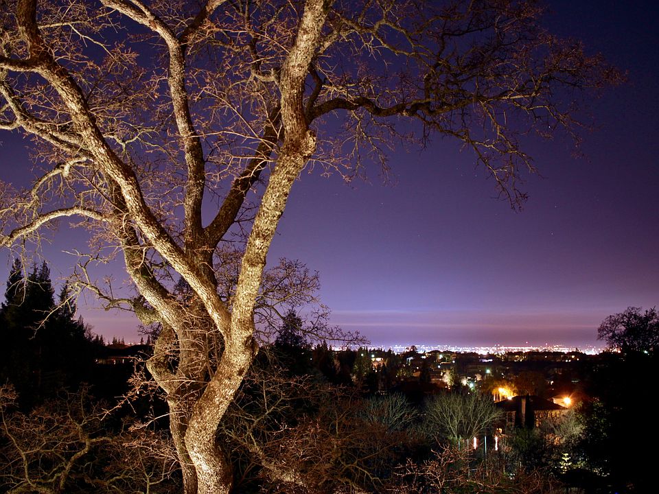 2nd image of 6618 Star Vista Ln