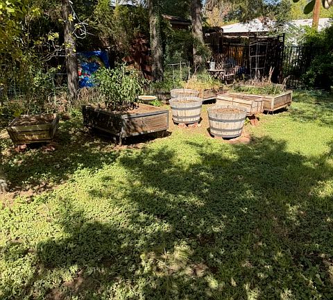 There are limitless options for gardening, including all of these raise beds!