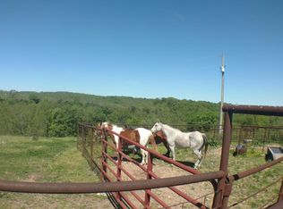 1240 Shop Hollow Rd, Galena, MO 65656