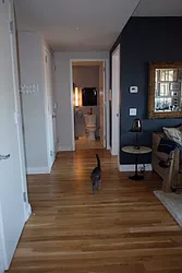 Rented by Urban Sanctuary