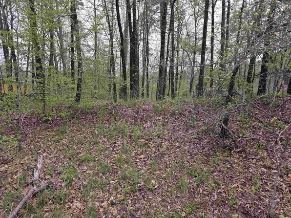 LOT 2934 Diamondhead Dr, Hot Springs National Park, AR 71913