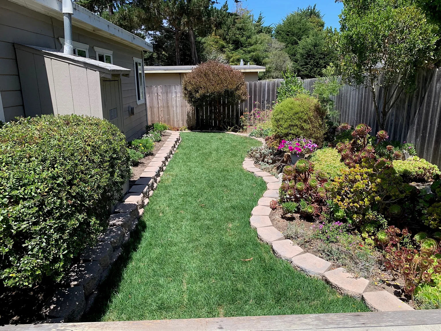2 bed, 1800 sqft, $5,000 — Photo 4