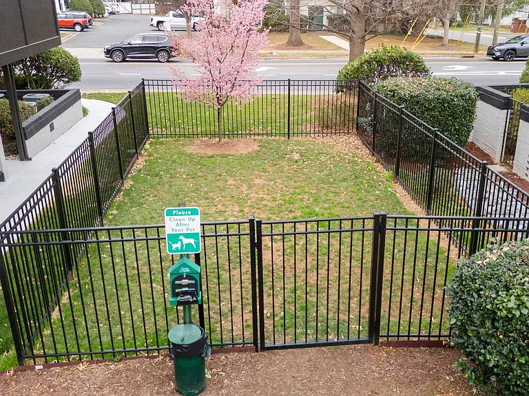 Elizabeth Green — Photo 42