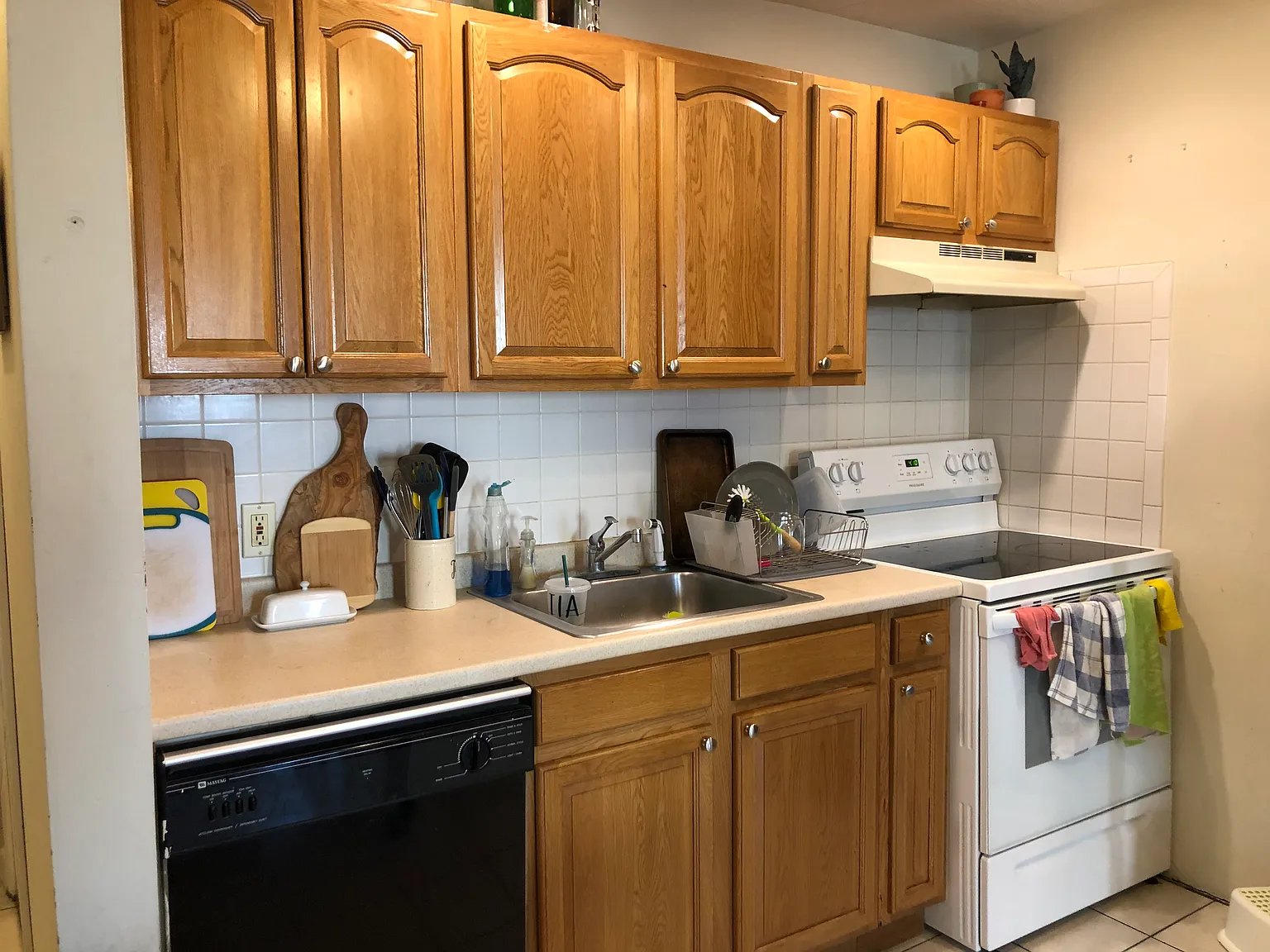 3 bed, 800 sqft, $1,100 — Photo 3