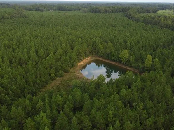 Jim Edwards Rd, Franklinton, LA 70438